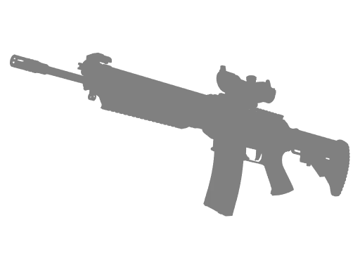 SG556
